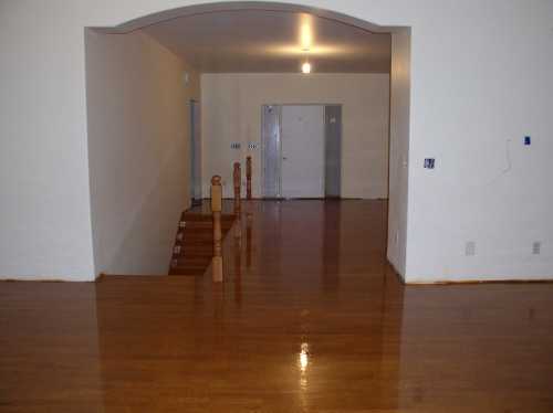 [cur-h08.jpg]